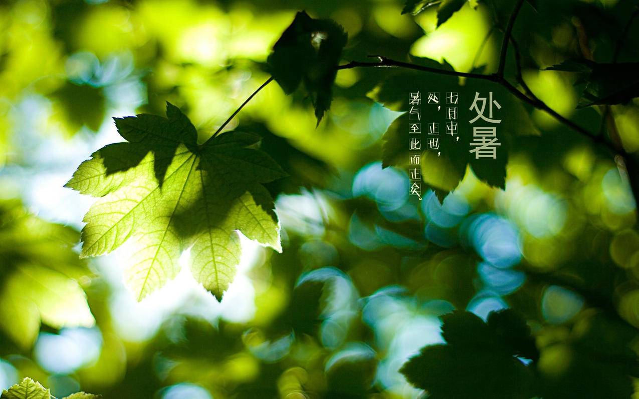 24小时在线下单|快手粉丝免费涨|ks推广自助网站,ks免费业务平台